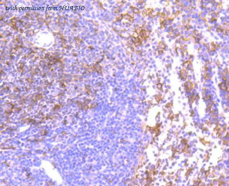 HUABIO ER1802-20 image 3