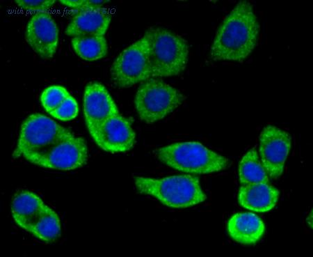 HUABIO ER1802-23 image 3