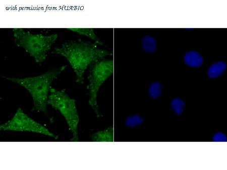 HUABIO ER1802-24 image 2