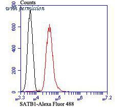 HUABIO ER1802-24 image 3