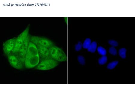 HUABIO ER1802-37 image 3