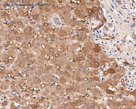 HUABIO ER1802-48 image 3