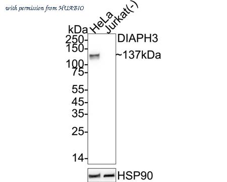 HUABIO ER1802-54 image 1