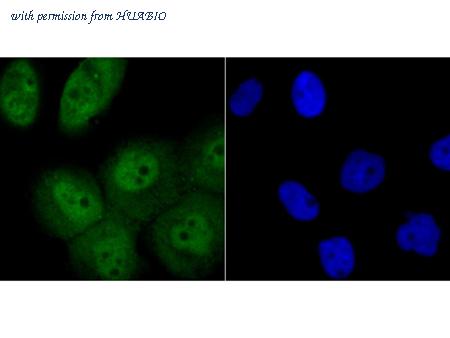 HUABIO ER1802-58 image 2