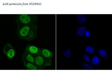 HUABIO ER1802-61 image 3