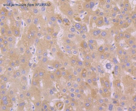 HUABIO ER1802-82 image 2