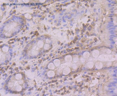 HUABIO ER1802-82 image 3