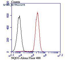 HUABIO ER1802-85 image 2