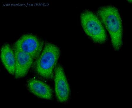 HUABIO ER1802-86 image 3