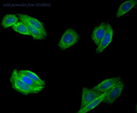 HUABIO ER1802-95 image 3