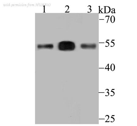 HUABIO ER1802-98 image 1