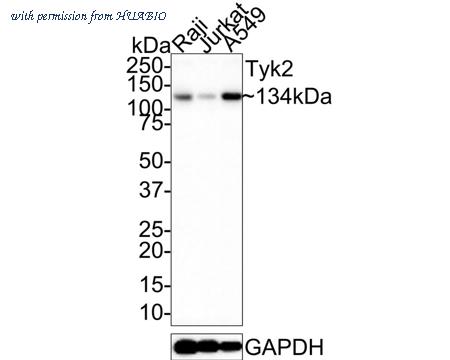 HUABIO ER1803-05 image 1