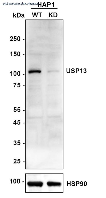HUABIO ER1803-09 image 1