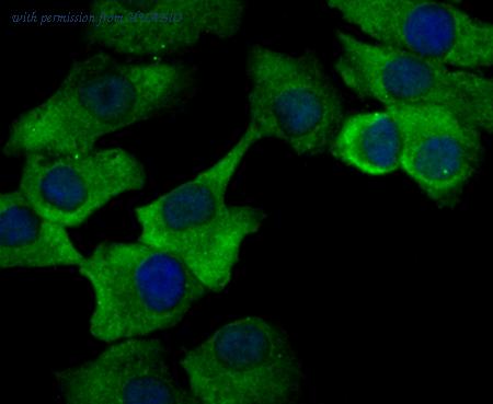 HUABIO ER1803-12 image 2