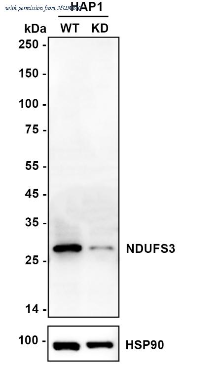 HUABIO ER1803-14 image 1