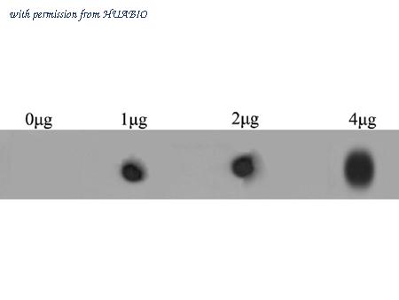 HUABIO ER1803-22 image 1