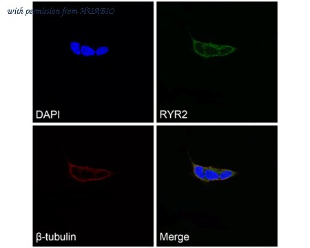HUABIO ER1803-22 image 3