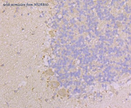 HUABIO ER1803-40 image 2