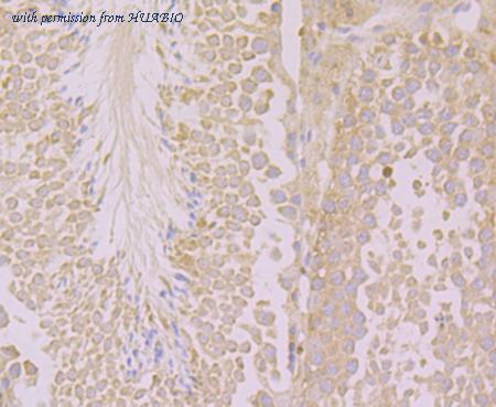 HUABIO ER1803-40 image 3