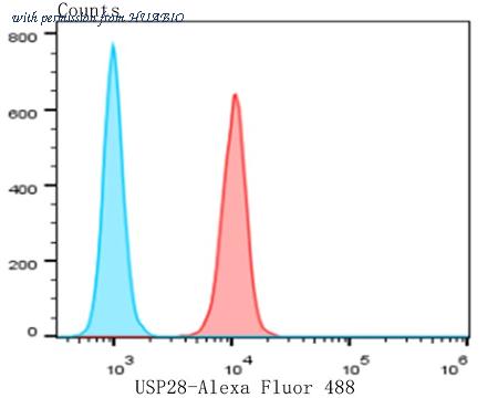 HUABIO ER1803-52 image 2
