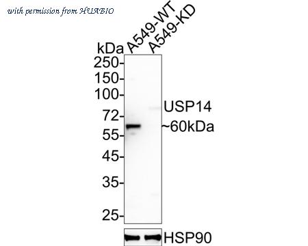 HUABIO ER1803-55 image 1