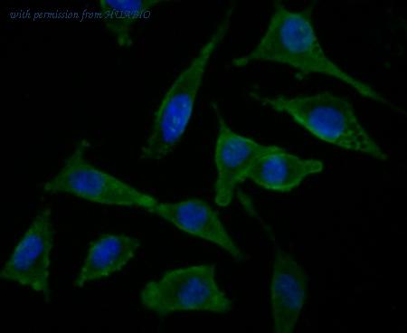 HUABIO ER1803-64 image 3