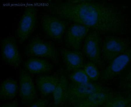 HUABIO ER1803-65 image 2