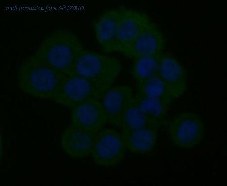 HUABIO ER1803-65 image 3