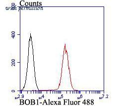 HUABIO ER1803-97 image 2