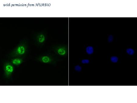 HUABIO ER1901-02 image 1