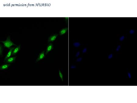 HUABIO ER1901-02 image 2