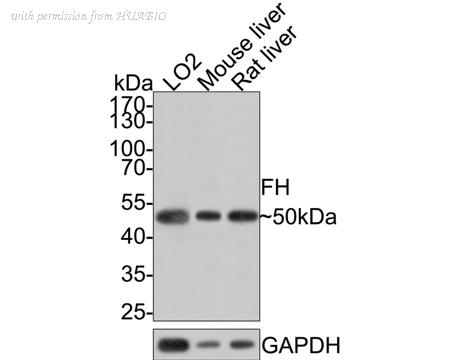 HUABIO ER1901-10 image 1