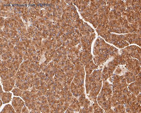 HUABIO ER1901-21 image 2