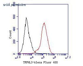 HUABIO ER1901-21 image 3