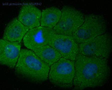 HUABIO ER1901-43 image 2