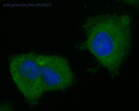 HUABIO ER1901-44 image 3