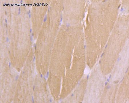 HUABIO ER1901-72 image 3