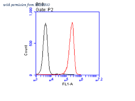 HUABIO ER1901-82 image 3