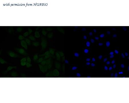 HUABIO ER1902-14 image 2