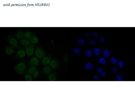 HUABIO ER1902-14 image 3