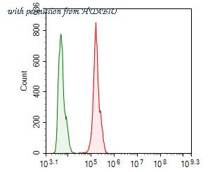HUABIO ER1902-34 image 3