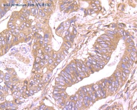 HUABIO ER1902-35 image 2