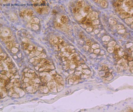 HUABIO ER1902-63 image 2