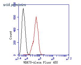 HUABIO ER1902-66 image 2
