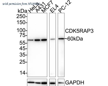 HUABIO ER1902-72 image 1