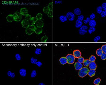 HUABIO ER1902-72 image 2