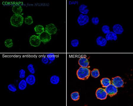HUABIO ER1902-72 image 3