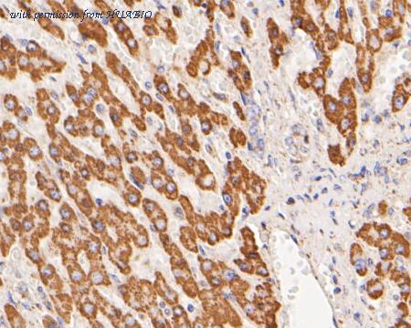 HUABIO ER1902-85 image 3