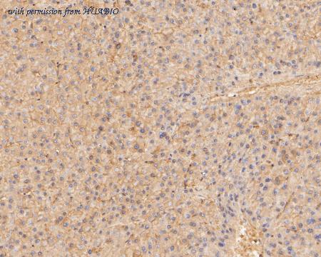 HUABIO ER1902-87 image 3