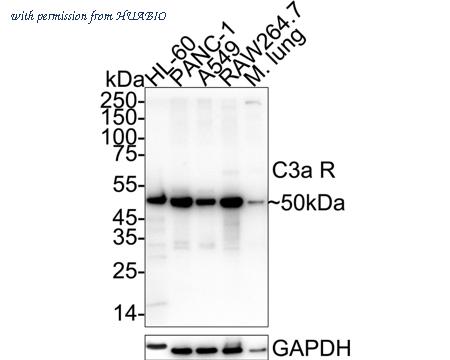 HUABIO ER1904-90 image 1